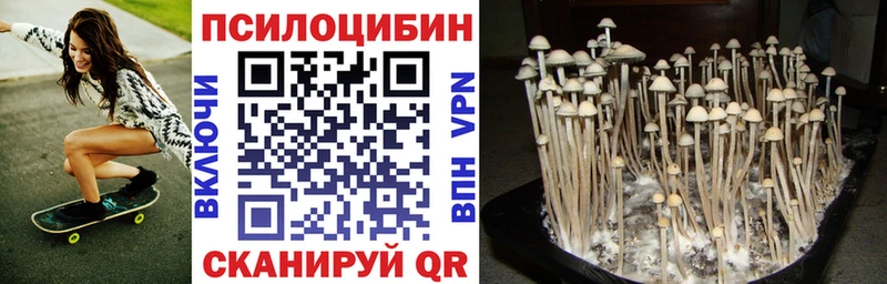 Псилоцибиновые грибы мицелий  купить закладку  Киреевск 