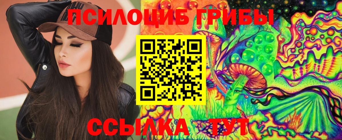 купить закладку  Псилоцибиновые грибы Magic Shrooms  Киреевск  Галлюциногенные грибы GOLDEN TEACHER 